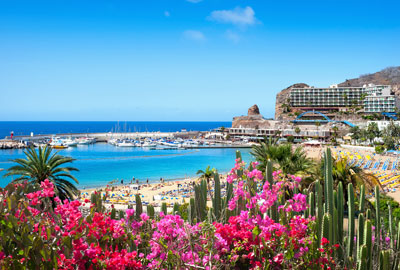 Traductor Jurado en Las Palmas de Gran Canaria